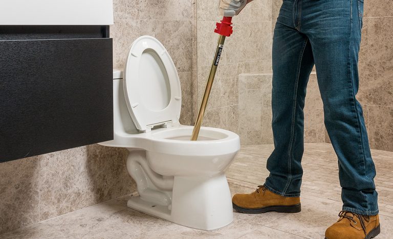 How to unclog your toilet drain?